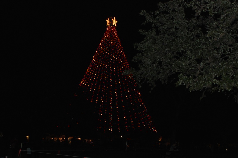 2013-12-20 19-35-13 Trail of Lights.jpg